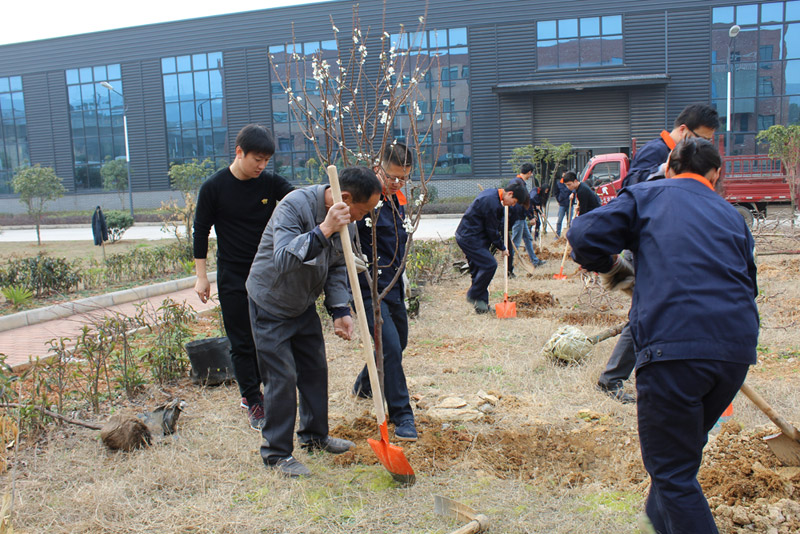 PP电子5金狮·(中国区)游戏官方网站