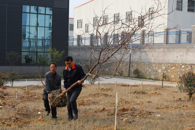 PP电子5金狮·(中国区)游戏官方网站