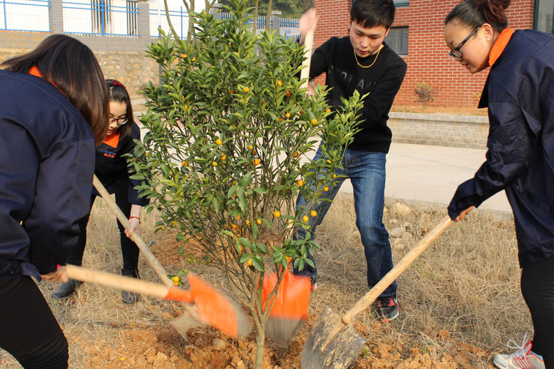 PP电子5金狮·(中国区)游戏官方网站