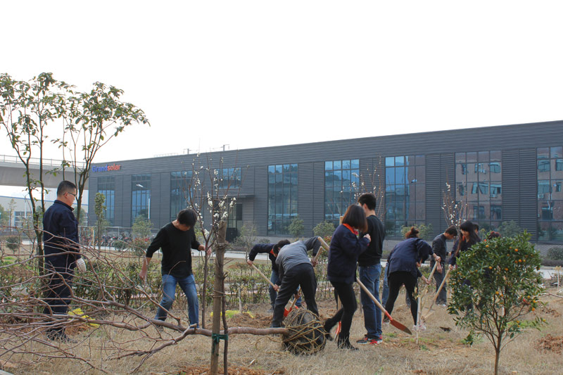 PP电子5金狮·(中国区)游戏官方网站