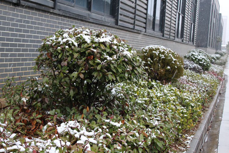 PP电子5金狮·(中国区)游戏官方网站