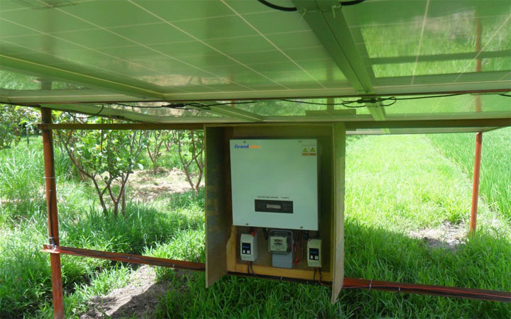 PP电子5金狮·(中国区)游戏官方网站