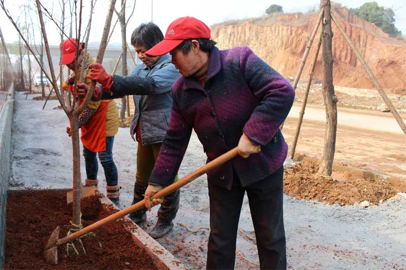 PP电子5金狮·(中国区)游戏官方网站
