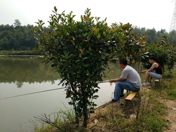 PP电子5金狮·(中国区)游戏官方网站