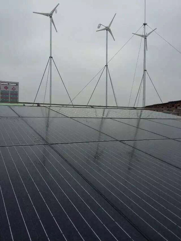 PP电子5金狮·(中国区)游戏官方网站