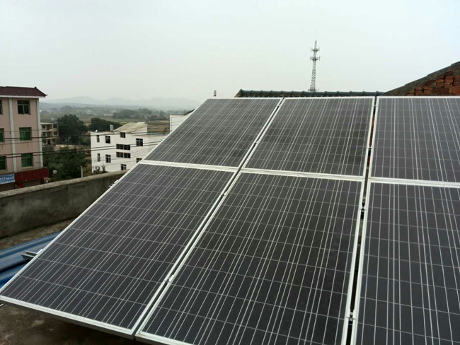 PP电子5金狮·(中国区)游戏官方网站