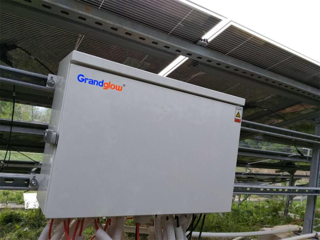 PP电子5金狮·(中国区)游戏官方网站