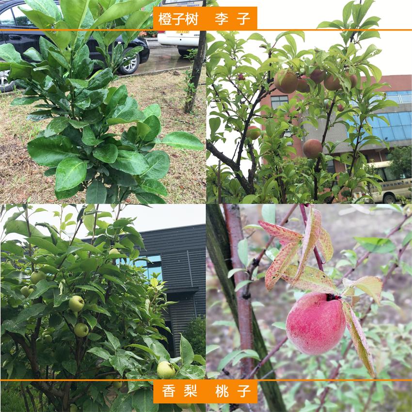 PP电子5金狮·(中国区)游戏官方网站