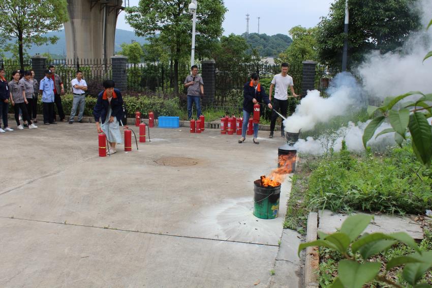 PP电子5金狮·(中国区)游戏官方网站