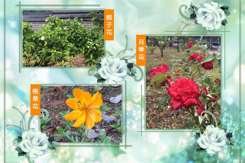 PP电子5金狮·(中国区)游戏官方网站