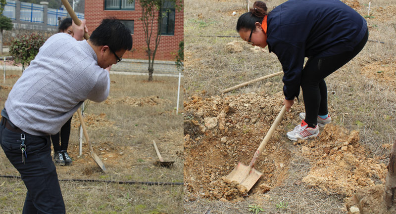 PP电子5金狮·(中国区)游戏官方网站