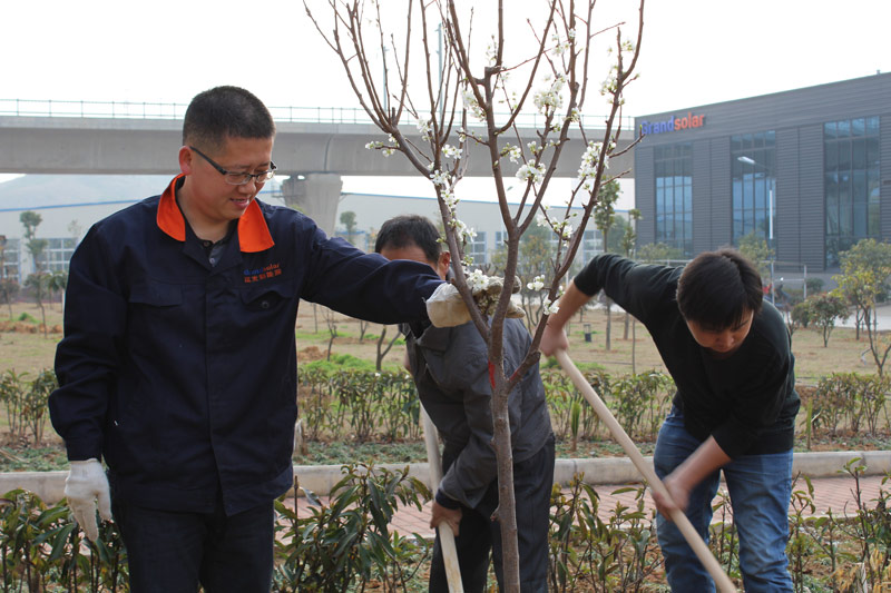 PP电子5金狮·(中国区)游戏官方网站