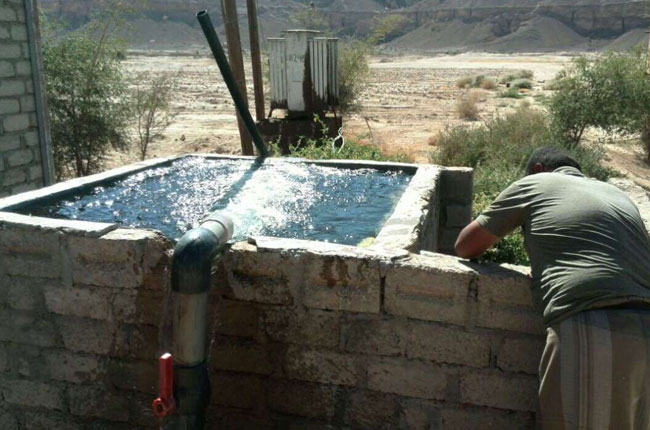 PP电子5金狮·(中国区)游戏官方网站